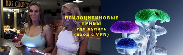 синтетический гашиш Алексин