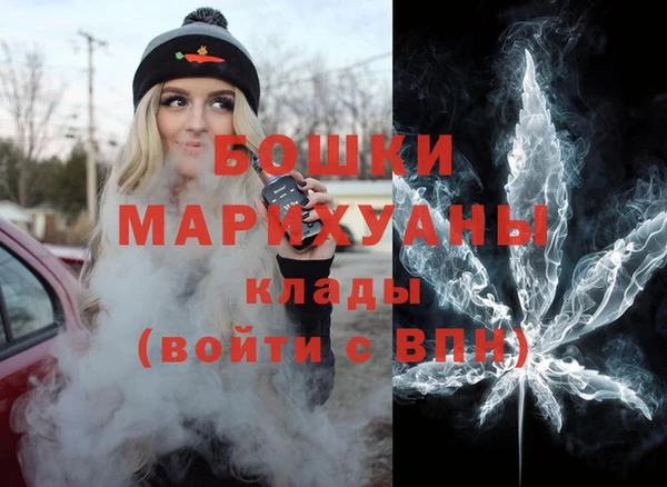 прущие грибы Пересвет