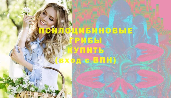 синтетический гашиш Алексин