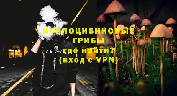ПСИЛОЦИБИНОВЫЕ ГРИБЫ Алексеевка
