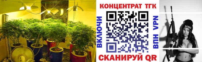 ТГК Wax  Пролетарск 